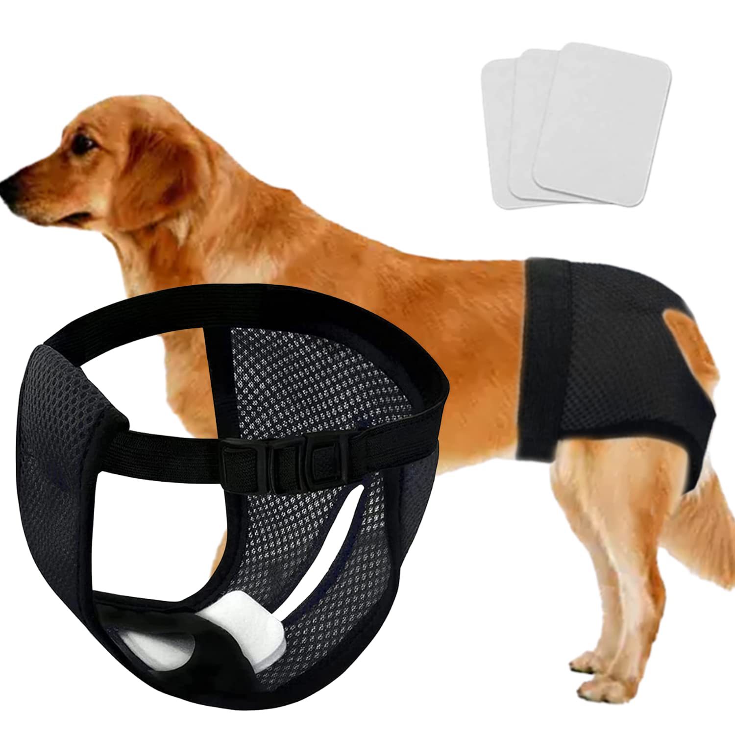 Protective Period Pants for Female Dogs